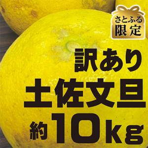 ふるさと納税 越知町 【さとふる限定】【生産者緊...の商品画像