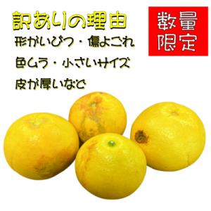ふるさと納税 越知町 【さとふる限定】【生産者...の詳細画像1