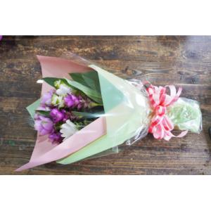 ふるさと納税 碧南市 【暑さに強い花】 クルク...の詳細画像2