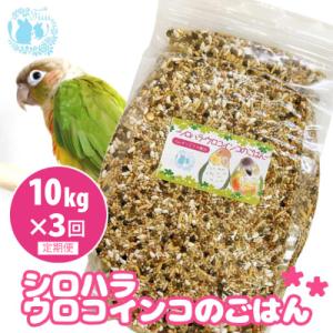 ふるさと納税 小牧市 【3ヶ月定期便】fuu シロハラインコ・ウロコインコのごはん(10kg)[145S60-T]