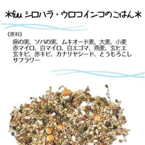 ふるさと納税 小牧市 【3ヶ月定期便】fuu ...の詳細画像2
