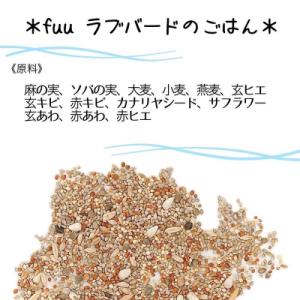 ふるさと納税 小牧市 【3ヶ月定期便】fuu ...の詳細画像2