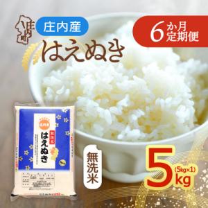 【定期便】<令和8年産>はえぬき 無洗米 5kg×1袋×6ヶ月 毎月 5kg【11月中旬発送】