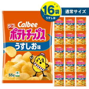 カルビー ポテトチップス【うすしお】16袋　K194-002_03