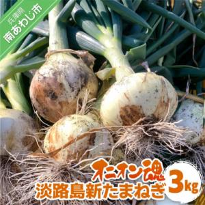 【オニオン魂】 淡路島新たまねぎ　3kg　◆配送3月上旬～