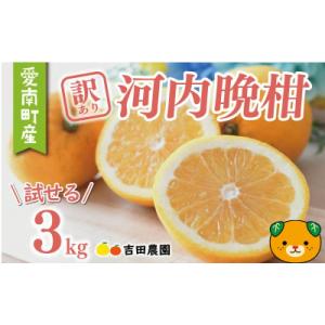 ふるさと納税 愛南町 【高評価★4.8】 訳あり 河内晩柑 3kg 数量限定 みかん 吉田農園 愛南...