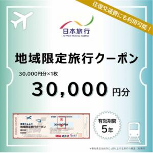 ふるさと納税 出雲市 島根県出雲市　日本旅行　地域限定旅行クーポン30,000円分