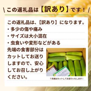 ふるさと納税 八千代町 【先行受付】6月中旬以...の詳細画像2