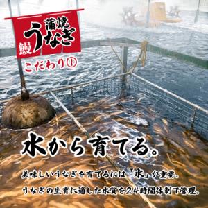 ふるさと納税 八千代町 【数量限定】【訳あり】...の詳細画像1