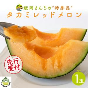 【令和8年産】【先行受付】タカミレッドメロン 特秀品 1玉 糖度 16度以上 [CG007ya]