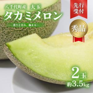 【先行受付2027年6月上旬以降発送】八千代町産 タカミメロン 2玉 約3.5kg[AX039ya]
