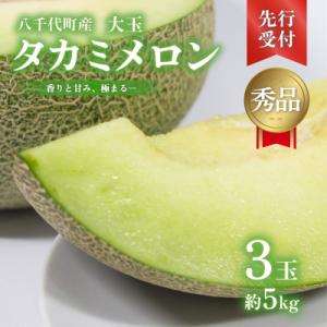 【先行受付2026年6月上旬以降発送】八千代町産 タカミメロン 3玉 約5kg [AX040ya]