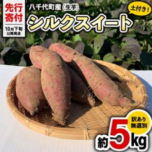 【先行受付】10月下旬以降発送 訳あり シルクスイート 約5kg さつまいも [AX047ya]