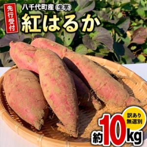 【先行受付】10月下旬以降発送 訳あり さつまいも 紅はるか 約10kg 土付き[AX010ya]