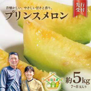 【先行受付】5月下旬以降発送 プリンスメロン (7～8玉入り) 1箱 約5kg [AX020ya]