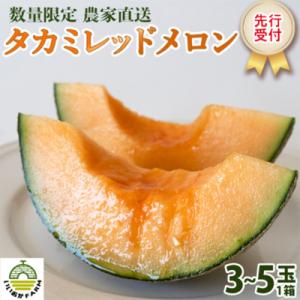 【令和8年産】【先行受付】タカミレッドメロン 秀品 3玉～5玉入り 貴味 タカミ [CG001ya]