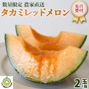 【令和8年産】【先行受付】タカミレッドメロン 秀品 2玉入 メロン 貴味 タカミ [CG002ya]