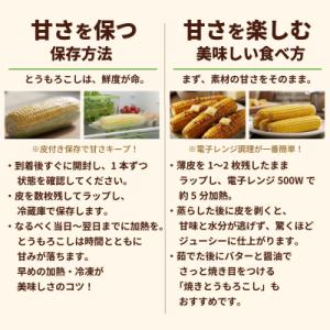 ふるさと納税 八千代町 2026年6月中旬以降...の詳細画像3