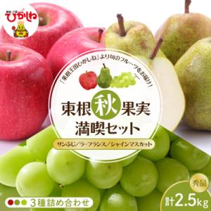 ふるさと納税 東根市 【2026年産 東根秋果実満喫セット】サンふじ&amp;ラフ&amp;シャイン約2.5kg h...