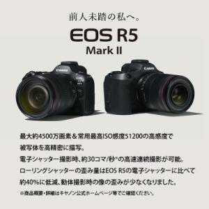 ふるさと納税 大分市 ミラーレスカメラ EOS...の詳細画像2