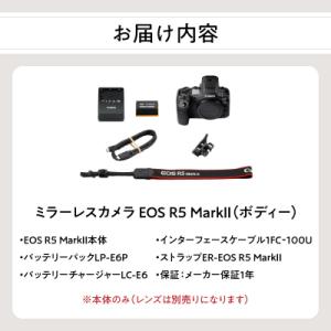 ふるさと納税 大分市 ミラーレスカメラ EOS...の詳細画像3