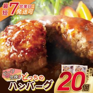 寄附額改定↓↓ 【7営業日以内発送】 どっちのハンバーグ!?デミグラスソース20個セット
