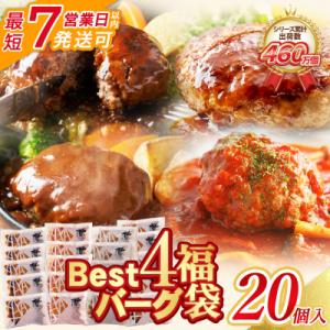 ふるさと納税 福智町 【7営業日以内】Best4バーグ ハンバーグ 20個セット(合挽4種 各5個)