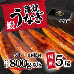 【化粧箱】国産うなぎ 蒲焼き 5尾 800g以上 タレ・山椒付き ギフト 上うなぎ ひつまぶし