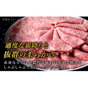 ふるさと納税 糸島市 【全12回定期便】A4ラ...の詳細画像1