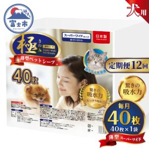 ふるさと納税 富士市 定期便【全12回】【極】シリーズ 犬用ペットシーツ 薄型スーパーワイド 40枚 ペットシート 日本製