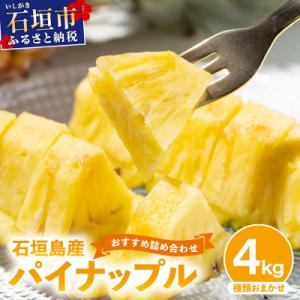 【訳あり】石垣島産 パイナップル 詰め合わせ 約4kg (3～10個)《2026年4月下旬発送》