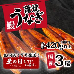 ふるさと納税 八千代町 【土用の丑の日までにお届け】訳あり 国産うなぎ 蒲焼き 3尾 420g以上 ...