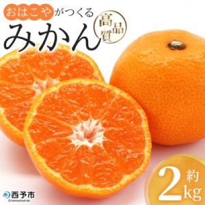 【先行受付】おはこやがつくる　高品質みかん　2㎏　みかん　愛媛　果物