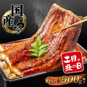 【丑の日までにお届け】 国産 うなぎ 蒲焼き 6尾 計900g以上 うなぎ蒲焼 鰻 鰻蒲焼