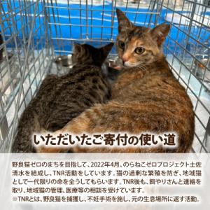 ふるさと納税 土佐清水市 のらねこゼロプロジェ...の詳細画像1