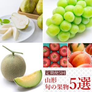 ふるさと納税 長井市 【2026年発送】果物定期便5回(メロン桃シャインマスカットラ・フランスりんご)_H244(R8)
