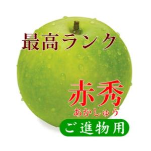 鳥取県産 二十世紀梨 “赤秀” 5kg (10〜14玉/5L～3Lサイズ)