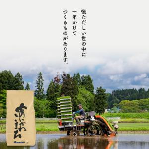 ふるさと納税 北秋田市 令和7年産《定期便8ヶ...の詳細画像3
