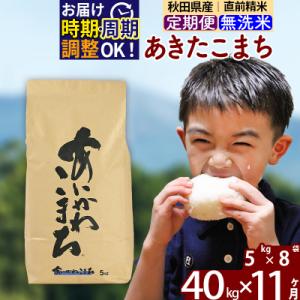 ふるさと納税 北秋田市 令和7年産《定期便11ヶ月》あきたこまち 40kg 無洗米|foap-31111
