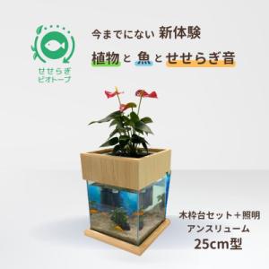 ふるさと納税 東広島市 せせらぎビオトープ　25cm型照明+木枠台セット(アンスリウム)