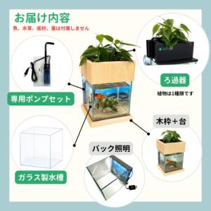 ふるさと納税 東広島市 せせらぎビオトープ 2...の詳細画像1
