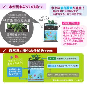 ふるさと納税 東広島市 せせらぎビオトープ 2...の詳細画像3