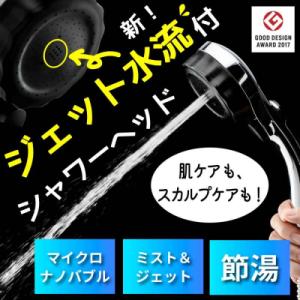 ふるさと納税 岐阜県 ナノバブル シャワーヘッド バブリーミスティ3.0 クロム SH24M/水生活...