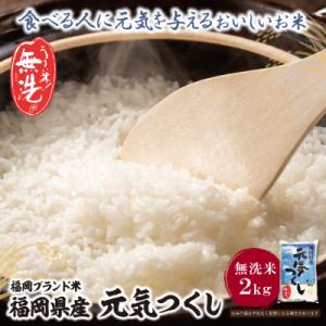 寄附額改定↓↓ 令和7年産 無洗米 元気つくし2kg
