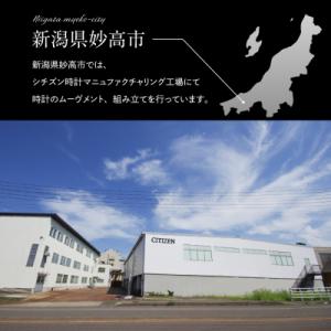 ふるさと納税 妙高市 【CITIZEN】エコ・...の詳細画像2