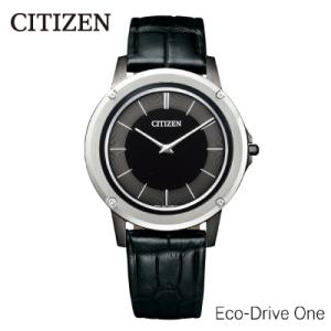 ふるさと納税 妙高市 【CITIZEN】エコ・ドライブ ワンAR5024-01E