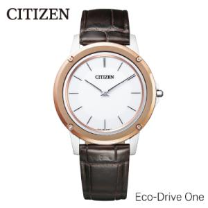 ふるさと納税 妙高市 【CITIZEN】エコ・ドライブ ワンAR5026-05A