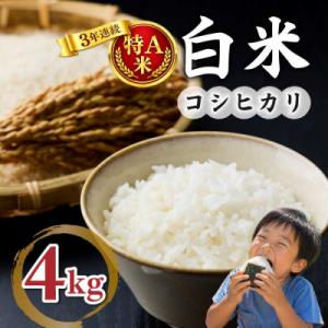 白米4kg【冷めても美味しいコシヒカリ】|最短4～7日程度でお届け　※着日指定不可【小田農園】