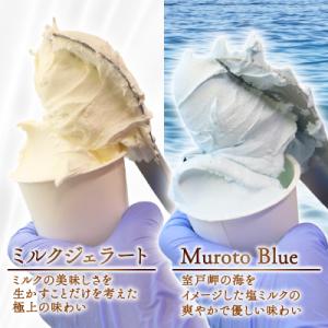 【大好評】素材の味を楽しむ ジェラートセット ミルク 塩バニラ 10個
