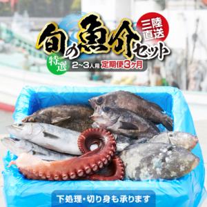 【3ヶ月定期便】特選 三陸海の恵み詰め合わせ 2～3人用 下処理済 旬 魚 鮮魚 新鮮 天然 刺身
